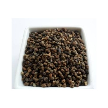 graines de cardamome granulé - cardamome, 1 kg